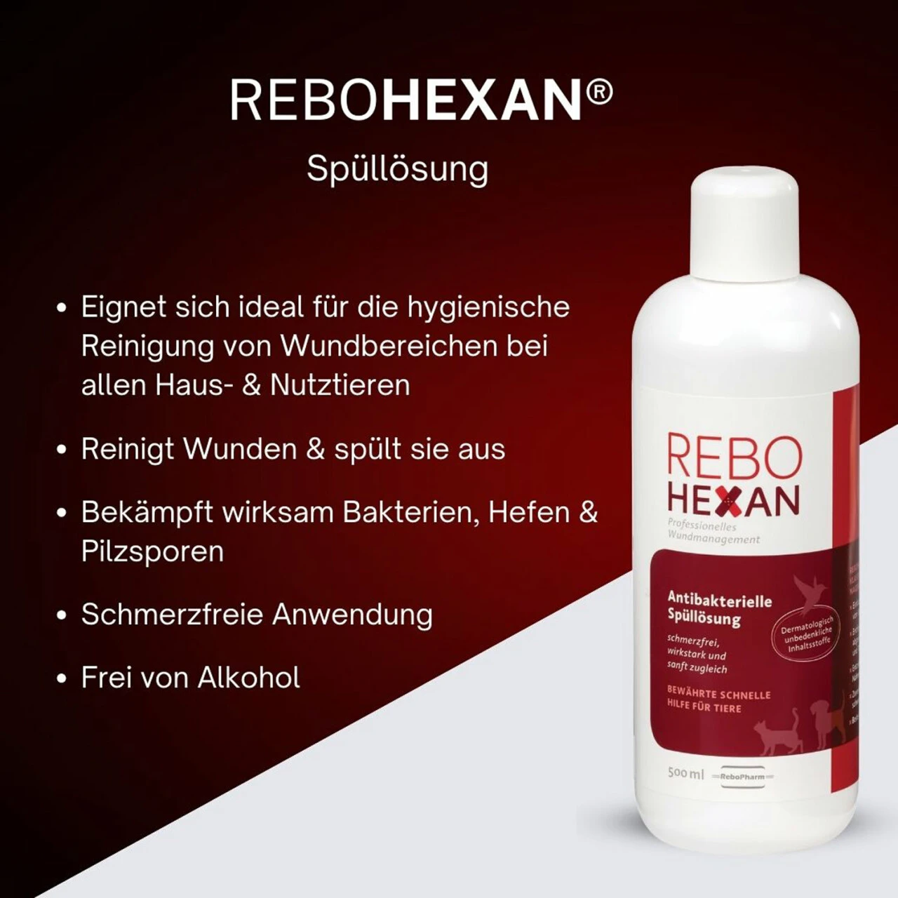ReboHexan Spüllösung 4 ReboHexan Spüllösung – Bild 2