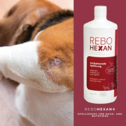 ReboHexan Spüllösung 9 ReboHexan Spüllösung -Heimtierbedarf rebohexan spuelloesung tiere4