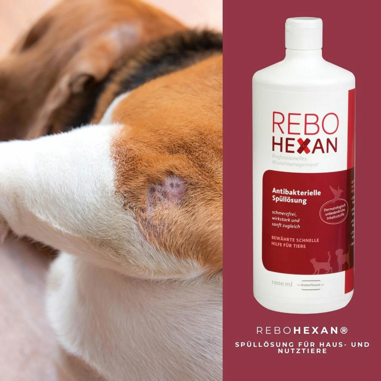 ReboHexan Spüllösung 6 ReboHexan Spüllösung – Bild 4