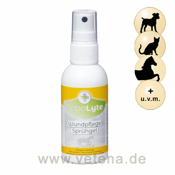 ReboLyte ECA Wundpflegesprühgel 3 ReboLyte ECA Wundpflegesprühgel