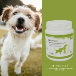 ReboVet B-Komplex Für Hunde 9 ReboVet B-Komplex Für Hunde -Heimtierbedarf rebopharm b komplex hund2