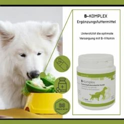 ReboVet B-Komplex Für Hunde 10 ReboVet B-Komplex Für Hunde -Heimtierbedarf rebopharm b komplex hund3