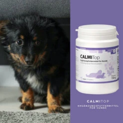 ReboVet CALMITop Für Hunde 10 ReboVet CALMITop Für Hunde -Heimtierbedarf rebopharm calmitop hund3