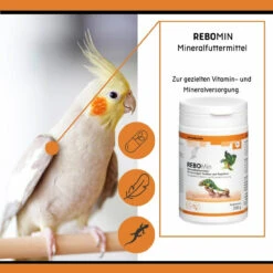 ReboVet REBOMin Für Vögel & Reptilien 10 ReboVet REBOMin Für Vögel & Reptilien -Heimtierbedarf rebopharm rebomin kleintier3