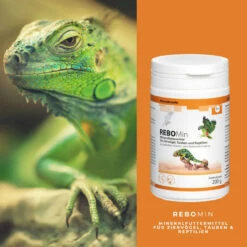 ReboVet REBOMin Für Vögel & Reptilien 11 ReboVet REBOMin Für Vögel & Reptilien -Heimtierbedarf rebopharm rebomin kleintier4