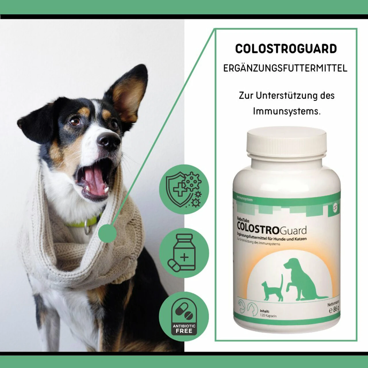 ReboTabs COLOSTROGuard Für Hunde & Katzen 5 ReboTabs COLOSTROGuard Für Hunde & Katzen – Bild 3