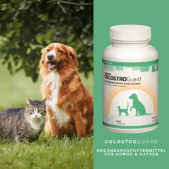 ReboTabs COLOSTROGuard Für Hunde & Katzen 9 ReboTabs COLOSTROGuard Für Hunde & Katzen -Heimtierbedarf rebotabs colostroguard4