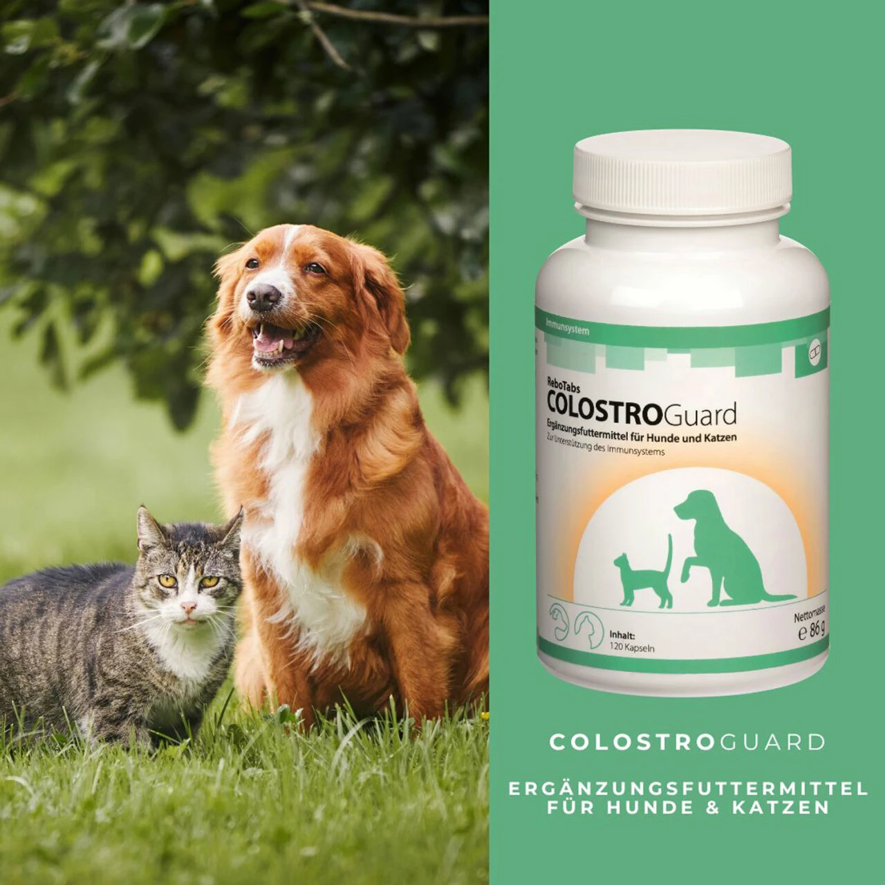 ReboTabs COLOSTROGuard Für Hunde & Katzen 6 ReboTabs COLOSTROGuard Für Hunde & Katzen – Bild 4