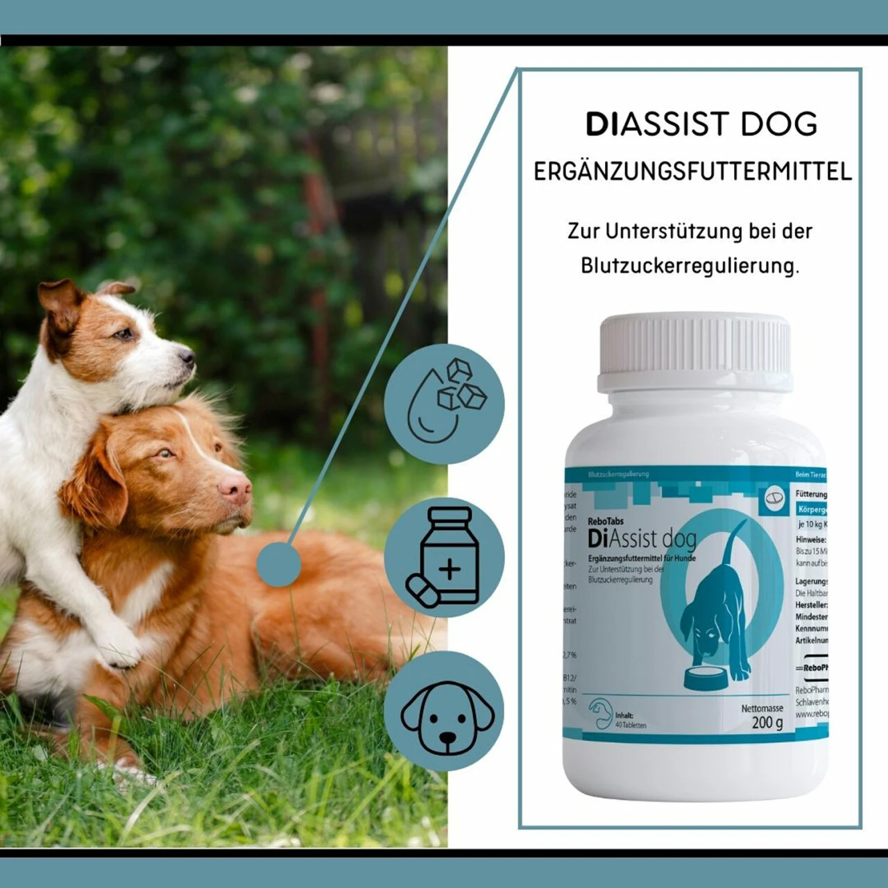 ReboTabs DiAssist Dog Für Hunde 4 ReboTabs DiAssist Dog Für Hunde – Bild 3