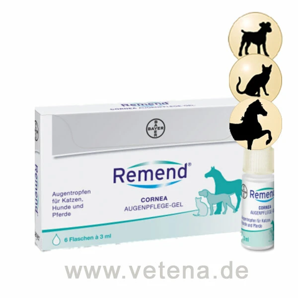 Remend Cornea Augenpflege-Gel 3 Remend Cornea Augenpflege-Gel