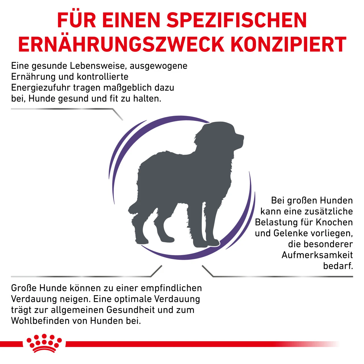 Royal Canin Expert Adult Large Dogs Trockenfutter Für Hunde 5 Royal Canin Expert Adult Large Dogs Trockenfutter Für Hunde – Bild 3