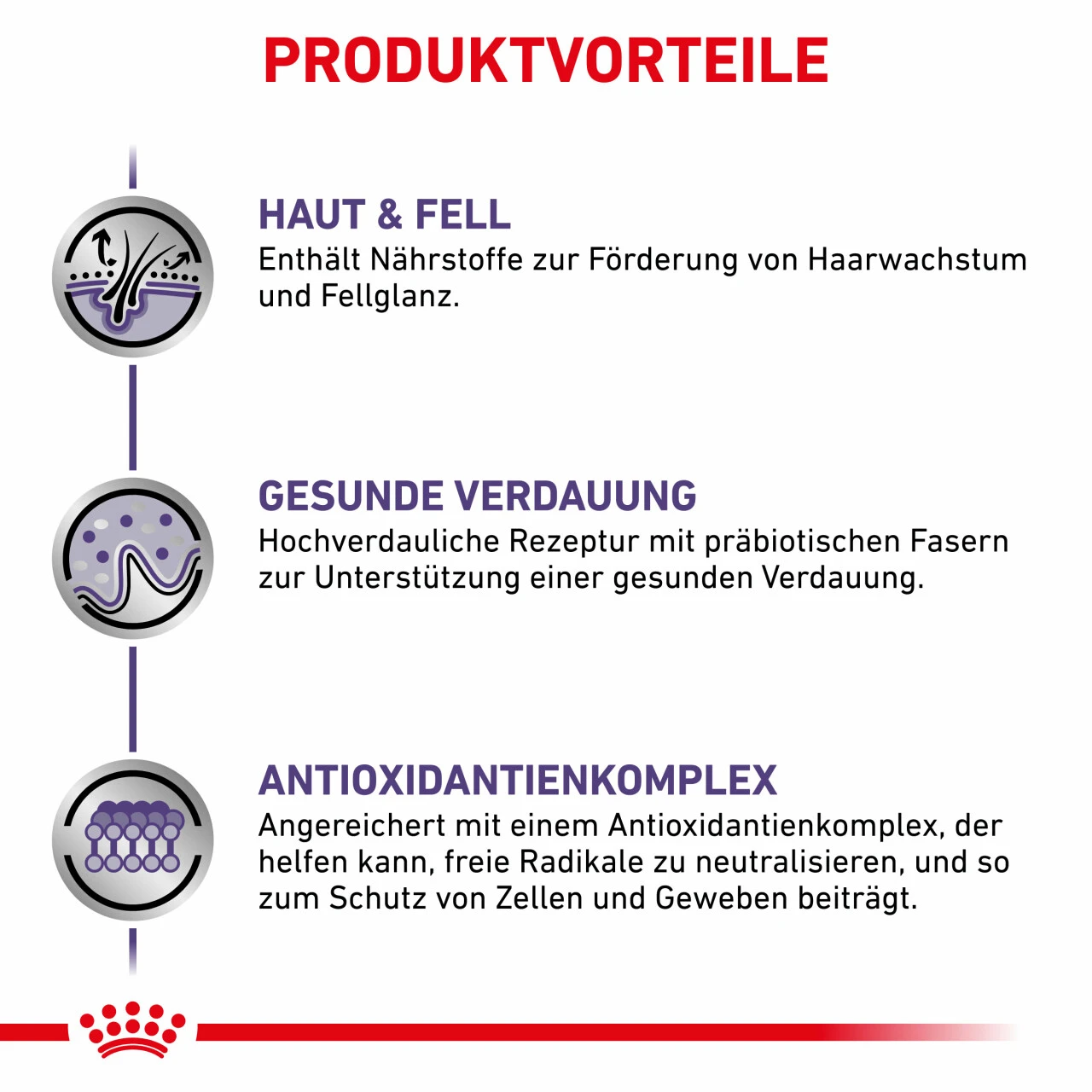 Royal Canin Expert Adult Medium Dogs Trockenfutter Für Hunde 4 Royal Canin Expert Adult Medium Dogs Trockenfutter Für Hunde – Bild 2