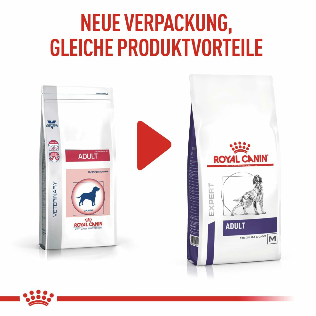 Royal Canin Expert Adult Medium Dogs Trockenfutter Für Hunde 5 Royal Canin Expert Adult Medium Dogs Trockenfutter Für Hunde – Bild 3