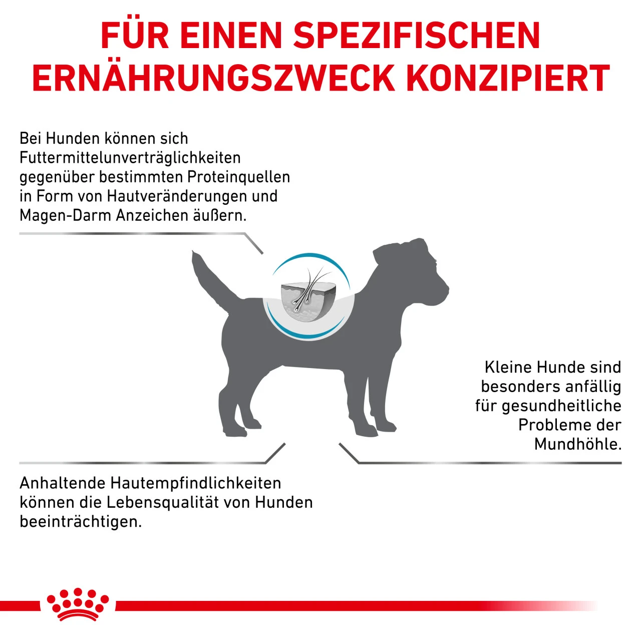 Royal Canin Anallergenic Small Dogs Trockenfutter Für Hunde 6 Royal Canin Anallergenic Small Dogs Trockenfutter Für Hunde – Bild 4