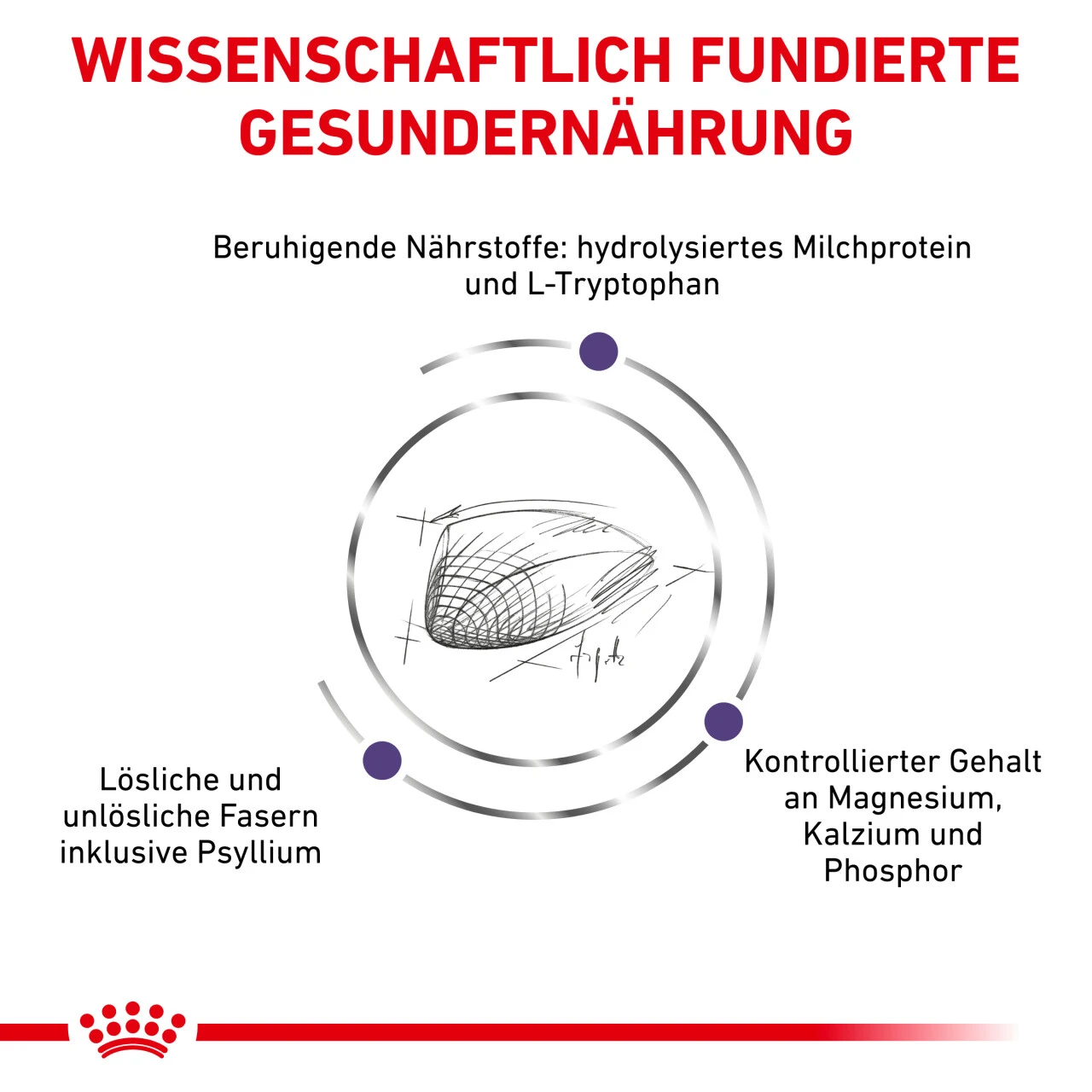 Royal Canin Expert Calm Trockenfutter Für Katzen 6 Royal Canin Expert Calm Trockenfutter Für Katzen – Bild 4