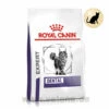 Royal Canin Expert Dental Trockenfutter Für Katzen 2 Royal Canin Expert Dental Trockenfutter Für Katzen -Heimtierbedarf royal canin dental katze