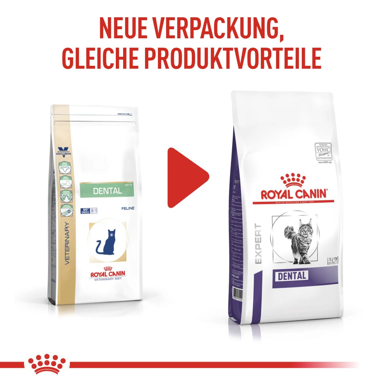 Royal Canin Expert Dental Trockenfutter Für Katzen 4 Royal Canin Expert Dental Trockenfutter Für Katzen – Bild 2