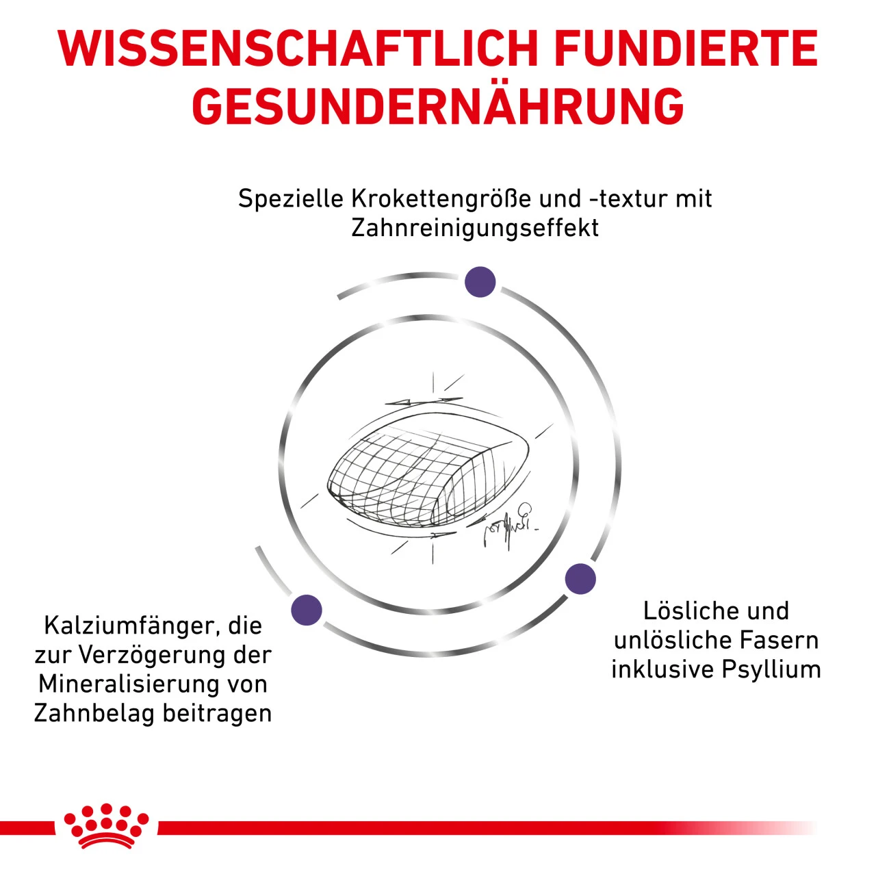 Royal Canin Expert Dental Trockenfutter Für Katzen 6 Royal Canin Expert Dental Trockenfutter Für Katzen – Bild 4