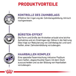 Royal Canin Expert Dental Trockenfutter Für Katzen 16 Royal Canin Expert Dental Trockenfutter Für Katzen -Heimtierbedarf royal canin dental katze5