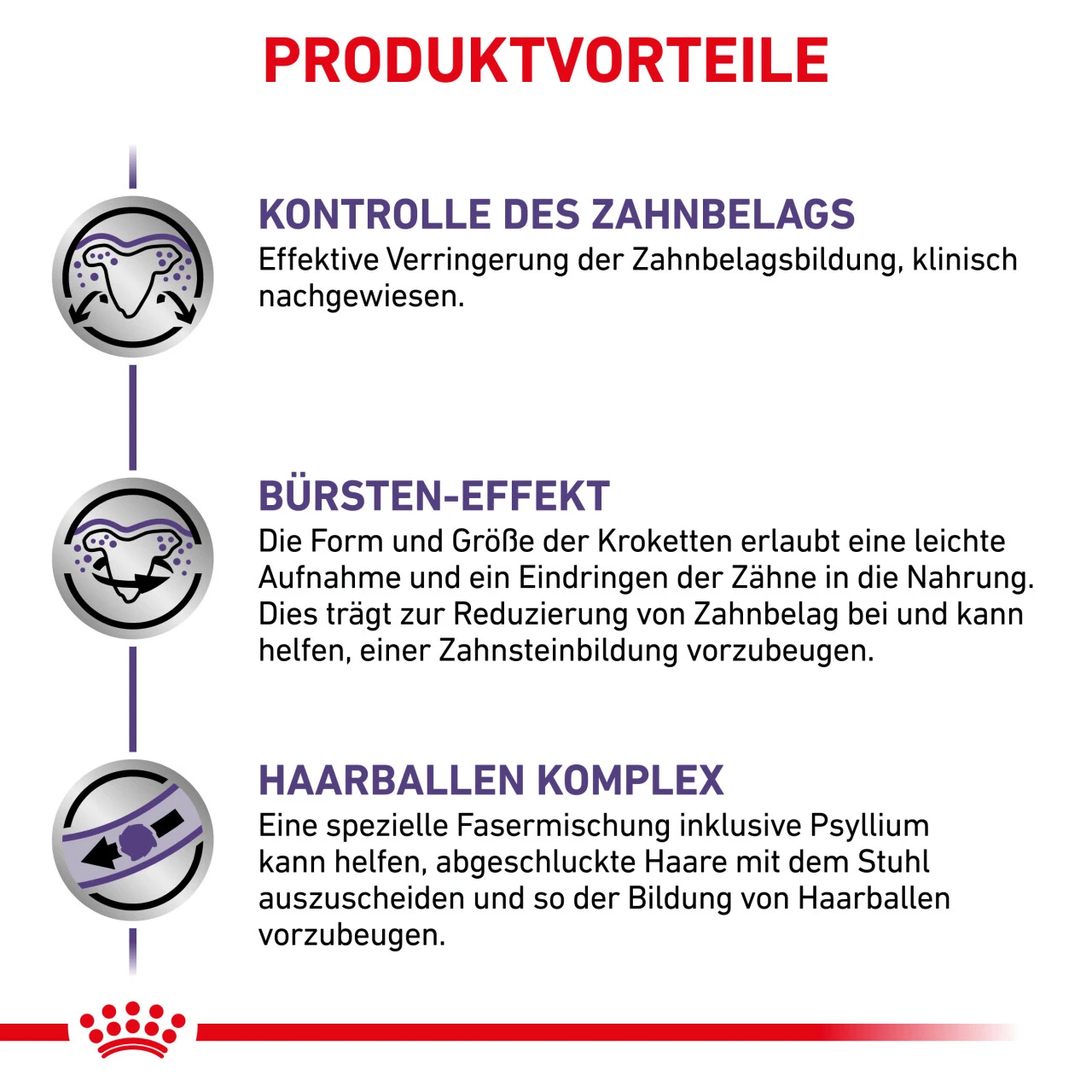 Royal Canin Expert Dental Trockenfutter Für Katzen 7 Royal Canin Expert Dental Trockenfutter Für Katzen – Bild 5