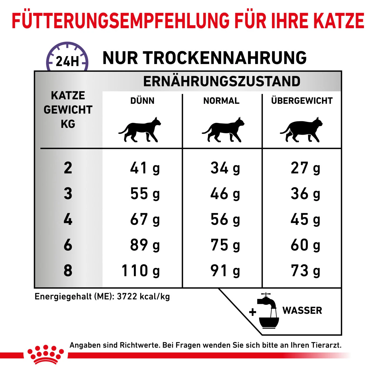 Royal Canin Expert Dental Trockenfutter Für Katzen 9 Royal Canin Expert Dental Trockenfutter Für Katzen – Bild 7
