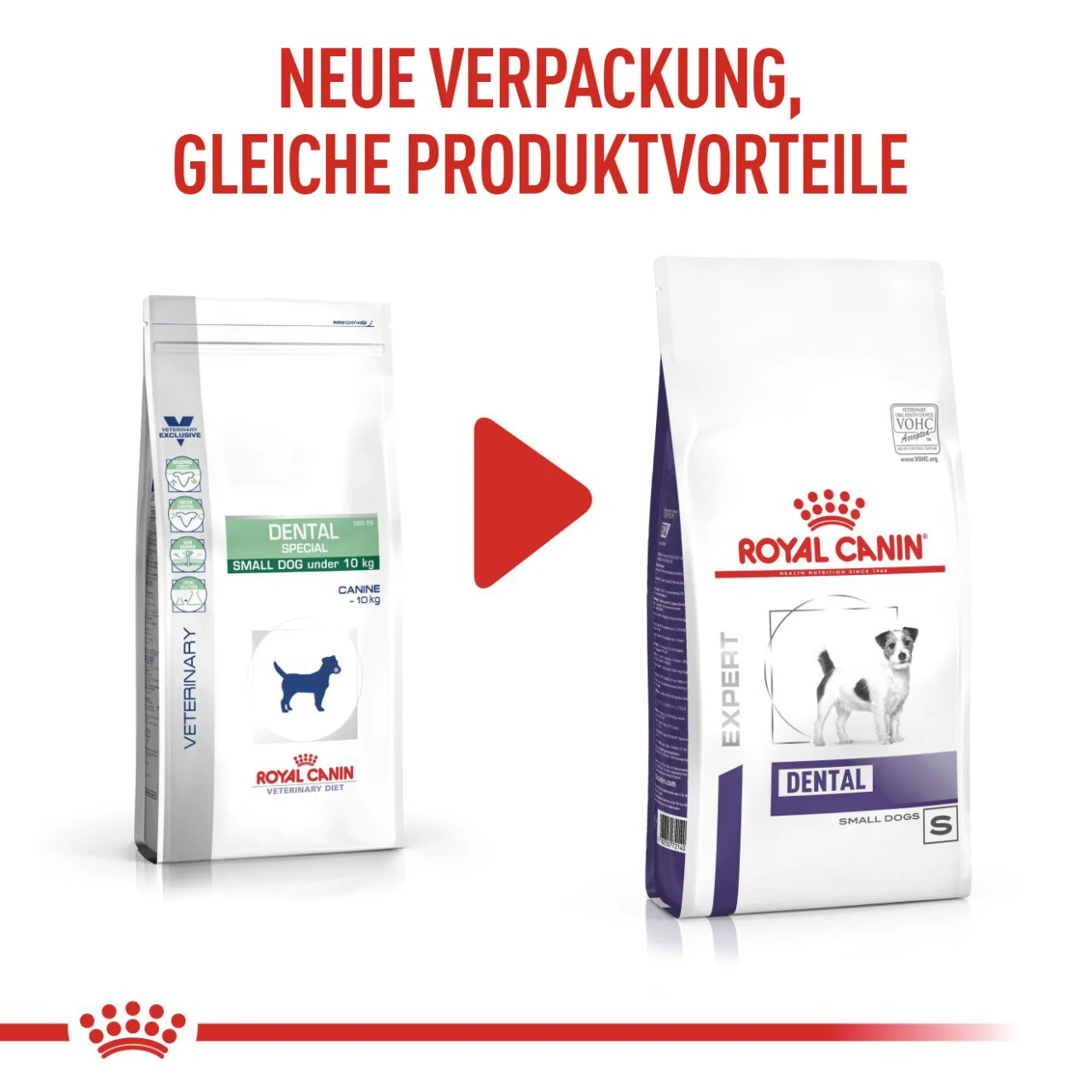 Royal Canin Expert Dental Small Dogs Trockenfutter Für Hunde 4 Royal Canin Expert Dental Small Dogs Trockenfutter Für Hunde – Bild 2