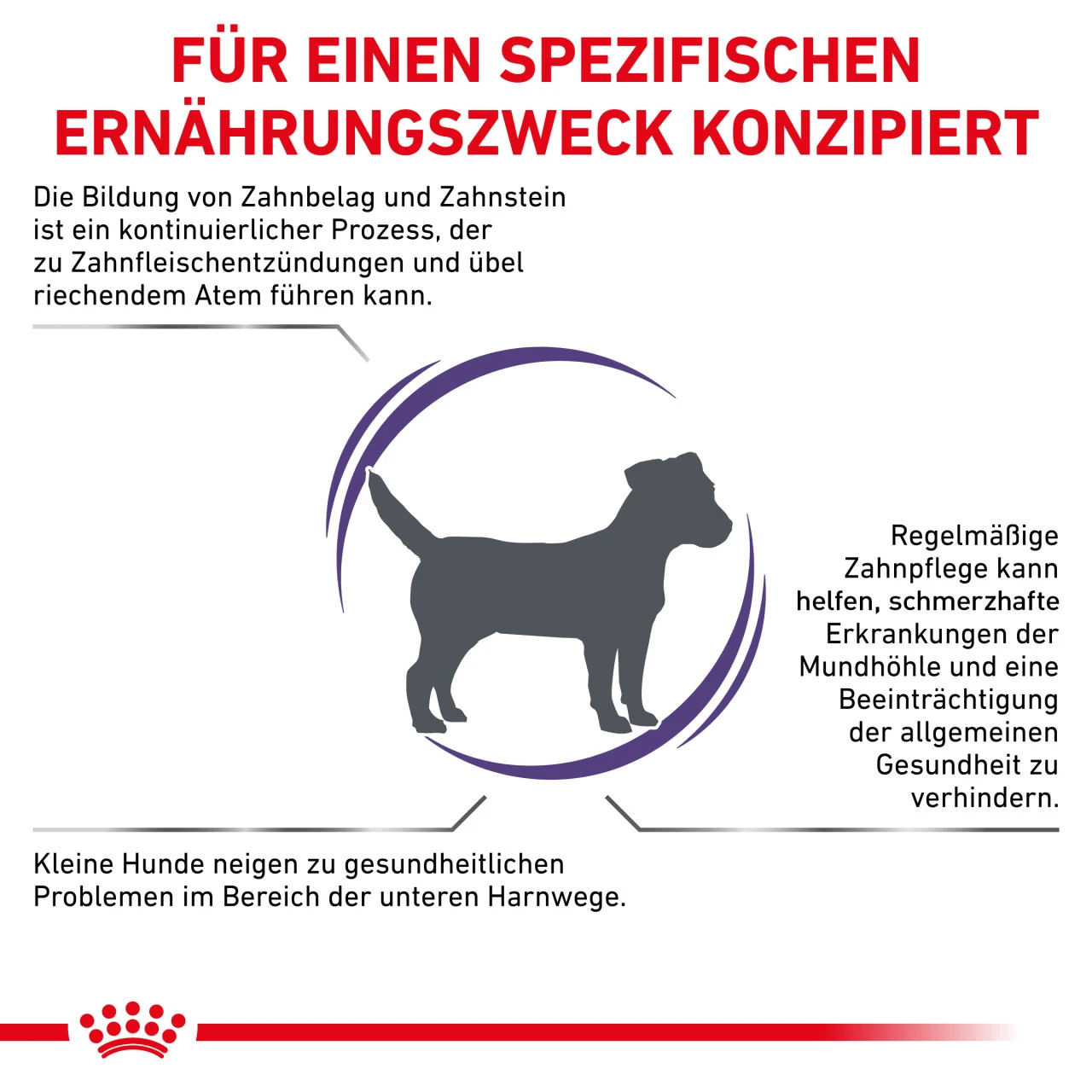 Royal Canin Expert Dental Small Dogs Trockenfutter Für Hunde 5 Royal Canin Expert Dental Small Dogs Trockenfutter Für Hunde – Bild 3