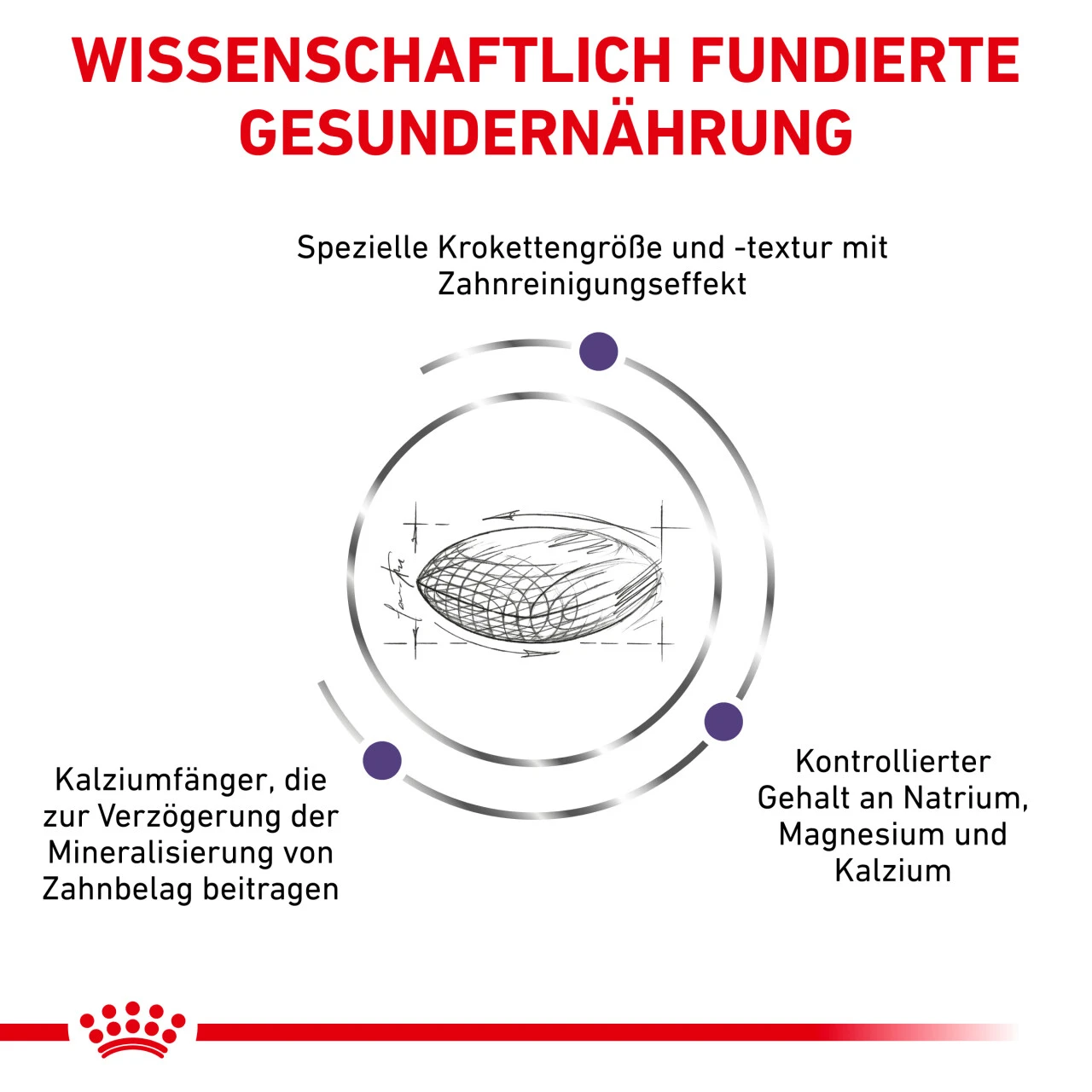 Royal Canin Expert Dental Small Dogs Trockenfutter Für Hunde 6 Royal Canin Expert Dental Small Dogs Trockenfutter Für Hunde – Bild 4