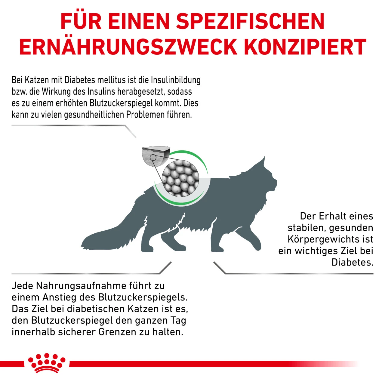 Sparpaket Royal Canin Diabetic Für Katzen 6 Sparpaket Royal Canin Diabetic Für Katzen – Bild 4