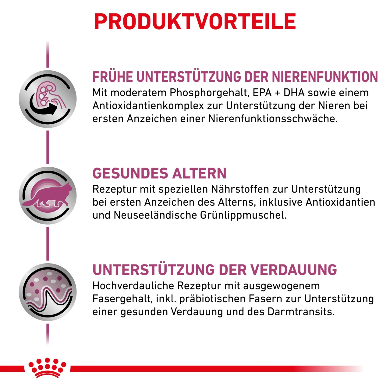 Royal Canin Early Renal Trockenfutter Für Katzen 4 Royal Canin Early Renal Trockenfutter Für Katzen – Bild 2