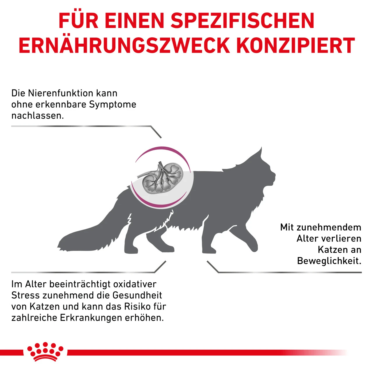 Royal Canin Early Renal Trockenfutter Für Katzen 7 Royal Canin Early Renal Trockenfutter Für Katzen – Bild 5