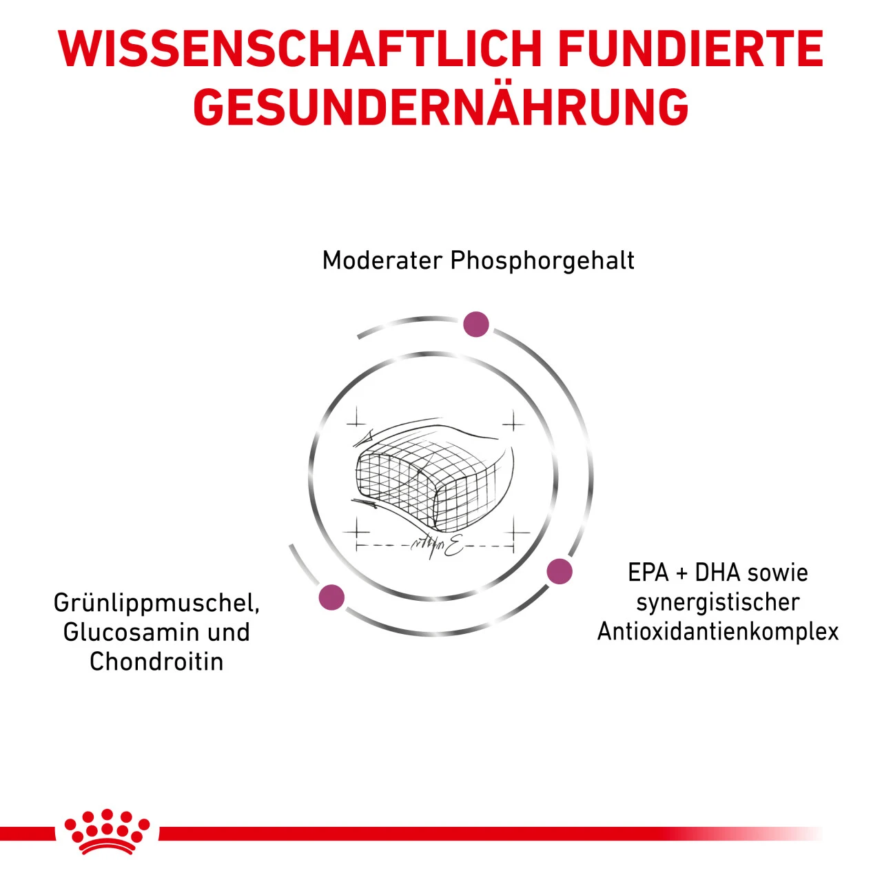 Royal Canin Early Renal Trockenfutter Für Katzen 8 Royal Canin Early Renal Trockenfutter Für Katzen – Bild 6