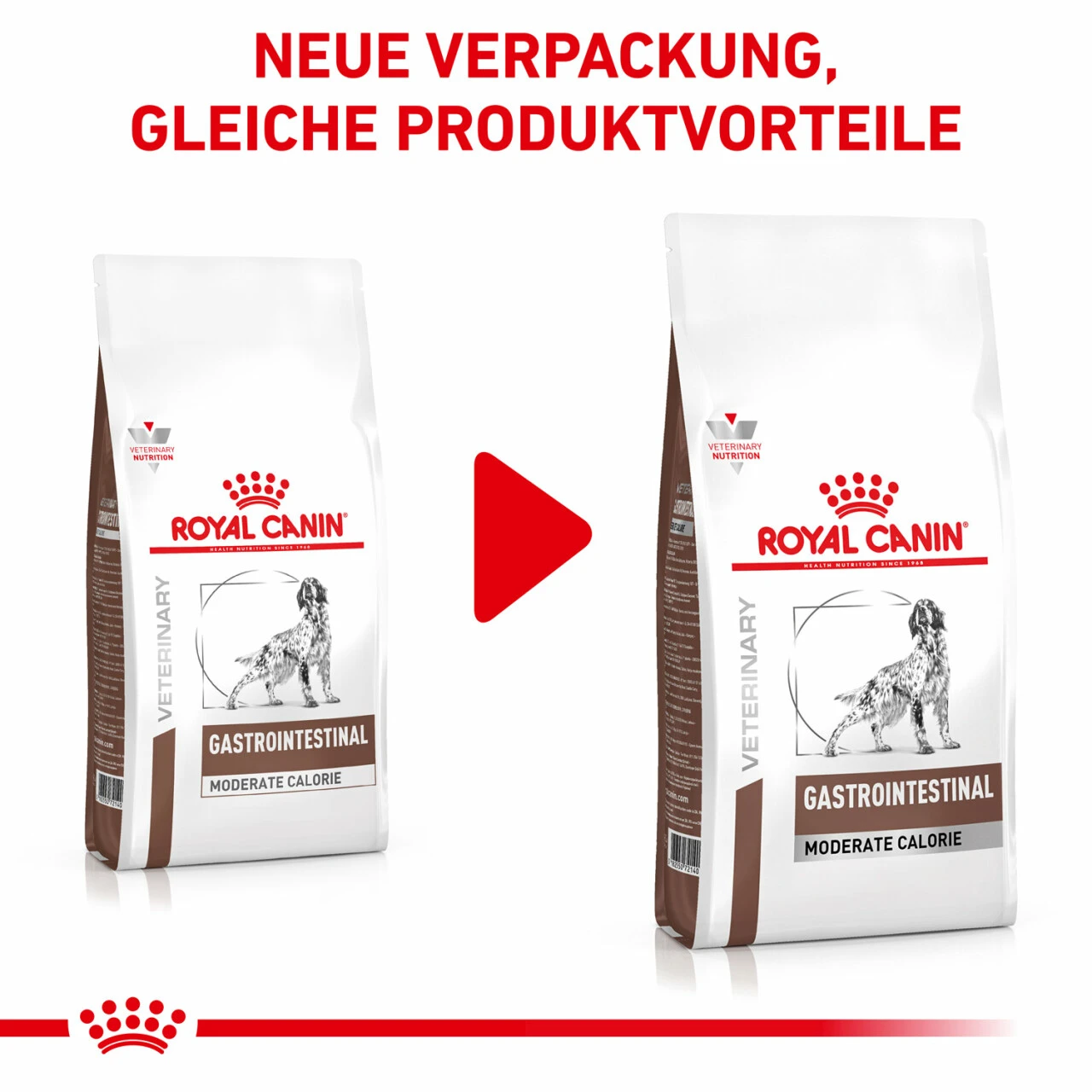 Royal Canin Gastrointestinal Moderate Calorie Trockenfutter Für Hunde 4 Royal Canin Gastrointestinal Moderate Calorie Trockenfutter Für Hunde – Bild 2