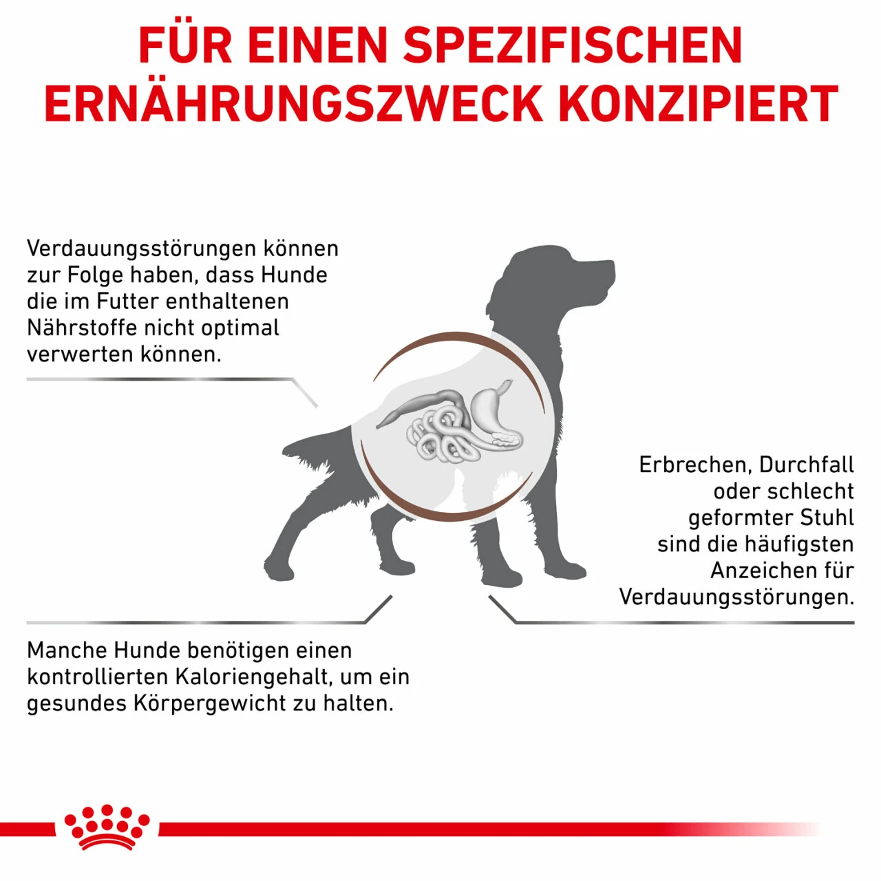 Royal Canin Gastrointestinal Moderate Calorie Trockenfutter Für Hunde 7 Royal Canin Gastrointestinal Moderate Calorie Trockenfutter Für Hunde – Bild 5