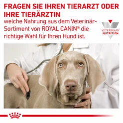 Royal Canin Gastrointestinal Moderate Calorie Trockenfutter Für Hunde 17 Royal Canin Gastrointestinal Moderate Calorie Trockenfutter Für Hunde -Heimtierbedarf royal canin gastro intestinal moderate calorie hund8