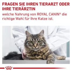 Royal Canin Gastrointestinal Fibre Response Trockenfutter Für Katzen 21 Royal Canin Gastrointestinal Fibre Response Trockenfutter Für Katzen -Heimtierbedarf royal canin gastrointestinal fibre response katze10