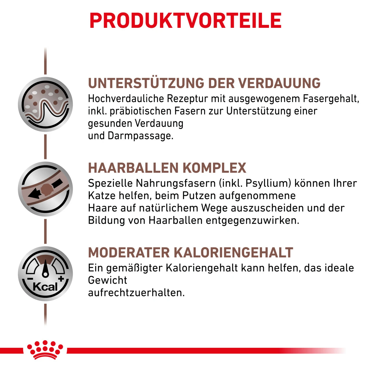 Royal Canin Gastrointestinal Hairball Trockenfutter Für Katzen 4 Royal Canin Gastrointestinal Hairball Trockenfutter Für Katzen – Bild 2