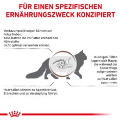 Royal Canin Gastrointestinal Hairball Trockenfutter Für Katzen 14 Royal Canin Gastrointestinal Hairball Trockenfutter Für Katzen -Heimtierbedarf royal canin gastrointestinal hairball katze5