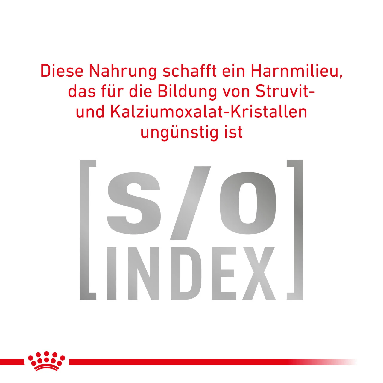 Royal Canin Gastrointestinal Hairball Trockenfutter Für Katzen 9 Royal Canin Gastrointestinal Hairball Trockenfutter Für Katzen – Bild 7