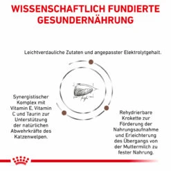 Royal Canin Gastrointestinal Kitten Trockenfutter Für Katzen 13 Royal Canin Gastrointestinal Kitten Trockenfutter Für Katzen -Heimtierbedarf royal canin gastrointestinal kitten trocken4