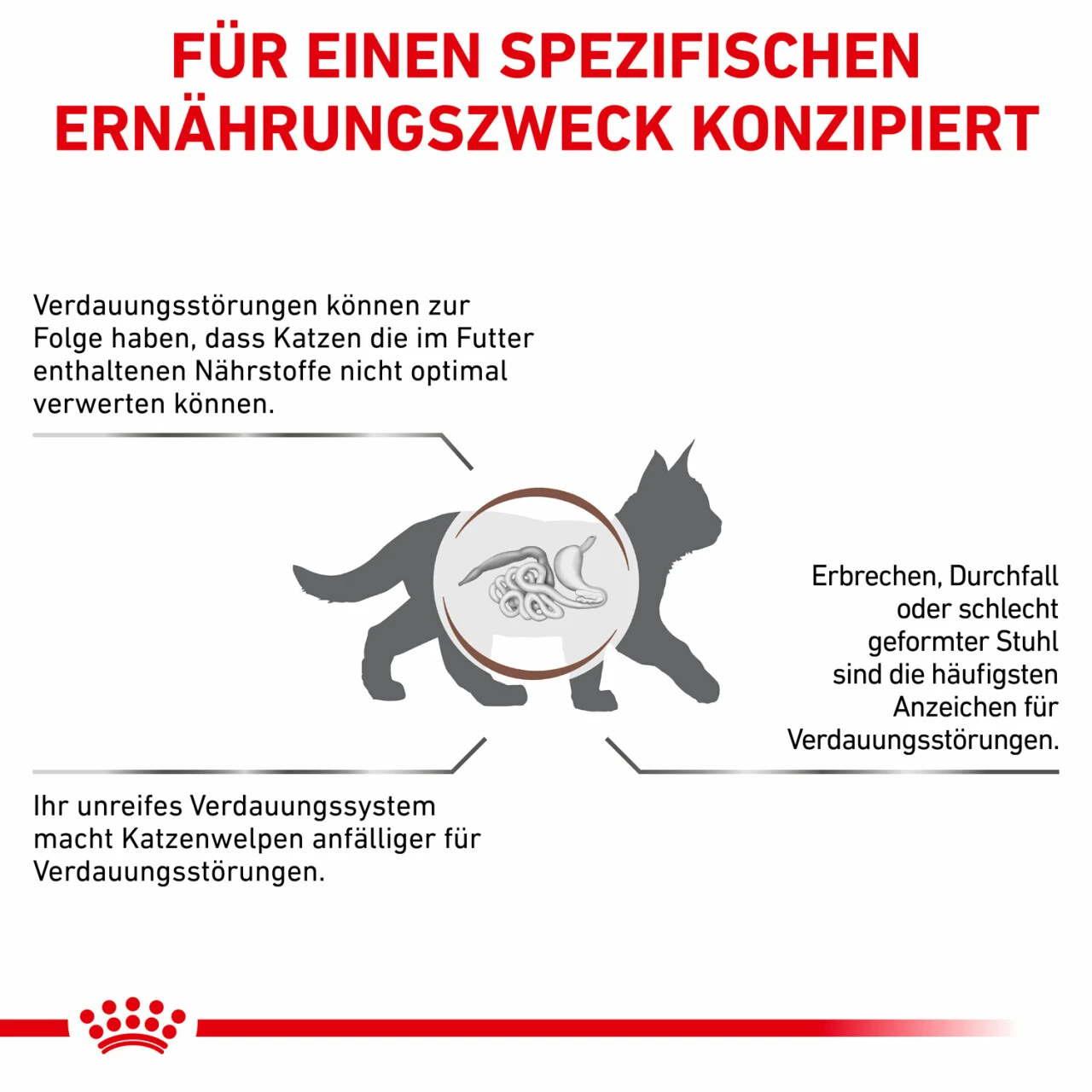Royal Canin Gastrointestinal Kitten Trockenfutter Für Katzen 7 Royal Canin Gastrointestinal Kitten Trockenfutter Für Katzen – Bild 5