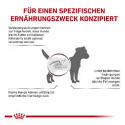 Royal Canin Gastrointestinal Low Fat Small Dogs Trockenfutter Für Hunde 15 Royal Canin Gastrointestinal Low Fat Small Dogs Trockenfutter Für Hunde -Heimtierbedarf royal canin gastrointestinal low fat small dogs trockenfutter hund5