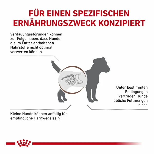 Royal Canin Gastrointestinal Low Fat Small Dogs Trockenfutter Für Hunde 7 Royal Canin Gastrointestinal Low Fat Small Dogs Trockenfutter Für Hunde – Bild 5