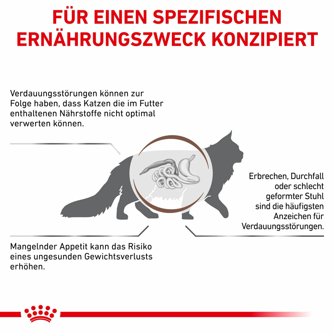 Royal Canin Gastrointestinal Trockenfutter Für Katzen 7 Royal Canin Gastrointestinal Trockenfutter Für Katzen – Bild 5