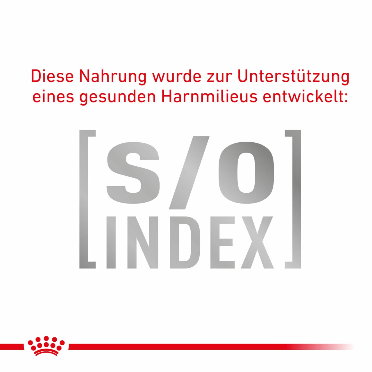 Royal Canin Gastrointestinal Trockenfutter Für Katzen 10 Royal Canin Gastrointestinal Trockenfutter Für Katzen – Bild 8