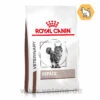 Royal Canin Hepatic Trockenfutter Für Katzen 1 Royal Canin Hepatic Trockenfutter Für Katzen -Heimtierbedarf royal canin hepatic katze