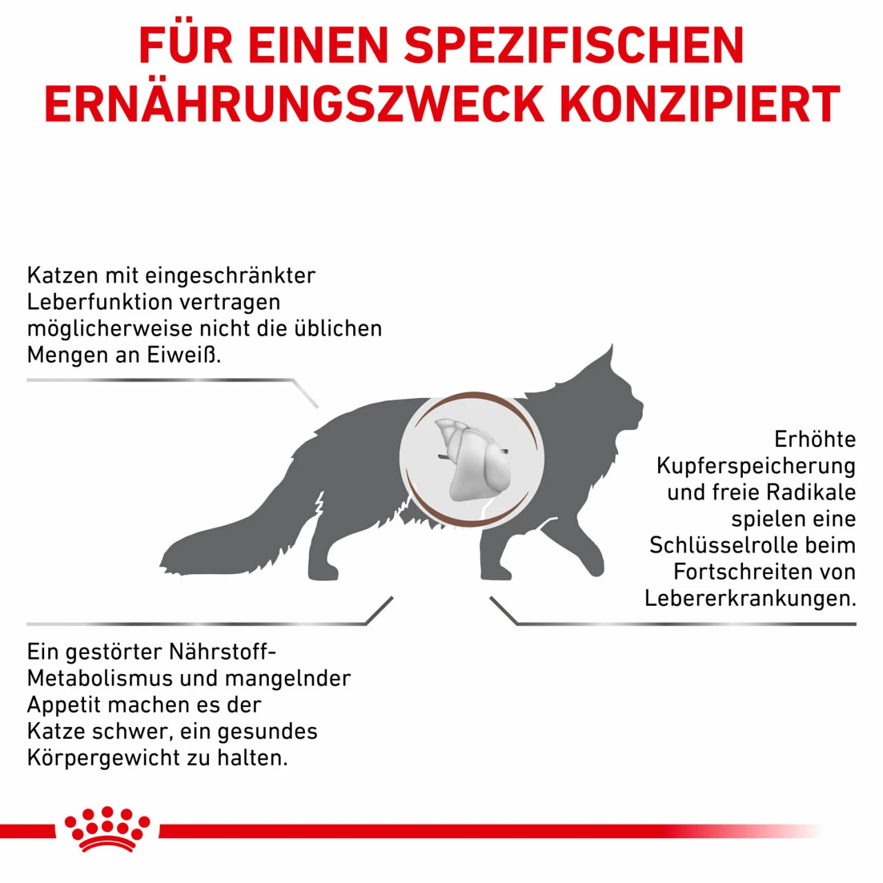 Royal Canin Hepatic Trockenfutter Für Katzen 6 Royal Canin Hepatic Trockenfutter Für Katzen – Bild 4