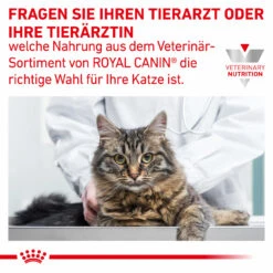 Royal Canin Hepatic Trockenfutter Für Katzen 17 Royal Canin Hepatic Trockenfutter Für Katzen -Heimtierbedarf royal canin hepatic katze8