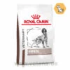 Royal Canin Hepatic Trockenfutter Für Hunde 2 Royal Canin Hepatic Trockenfutter Für Hunde -Heimtierbedarf royal canin hepatic trocken hund