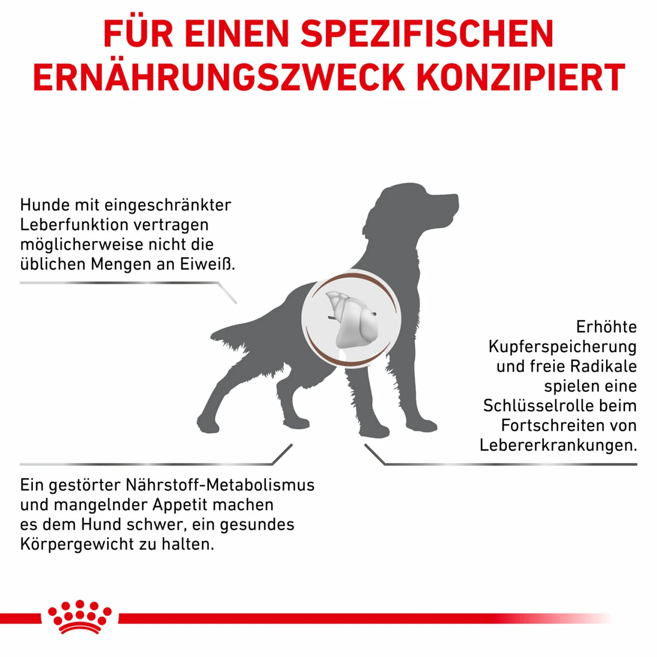 Royal Canin Hepatic Trockenfutter Für Hunde 4 Royal Canin Hepatic Trockenfutter Für Hunde – Bild 2